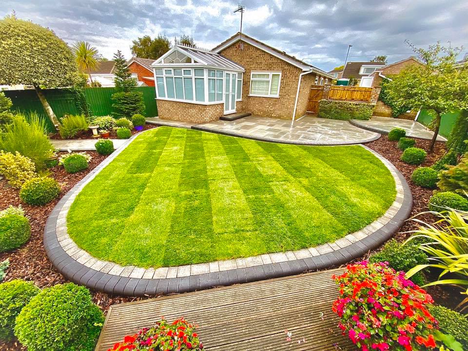 Newcomer of the year