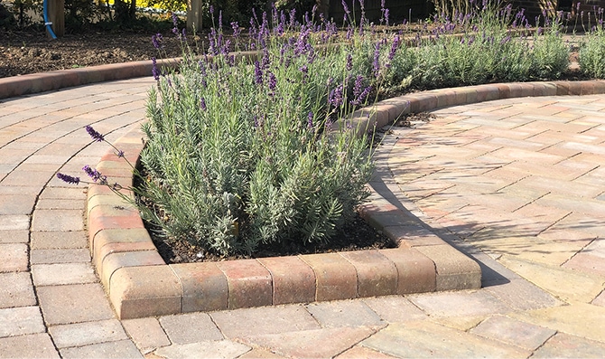 Alpha Autumn Gold, Burnt Oak, Drivestyle Kerb