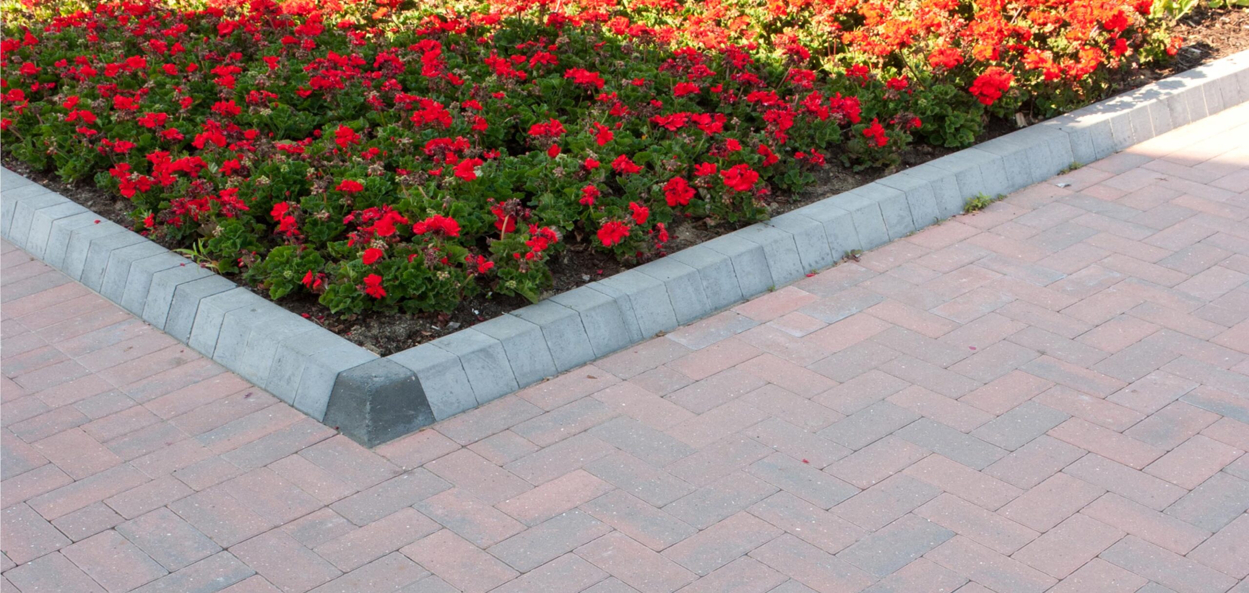 Omega Pencil Edge Brindle, Charcoal