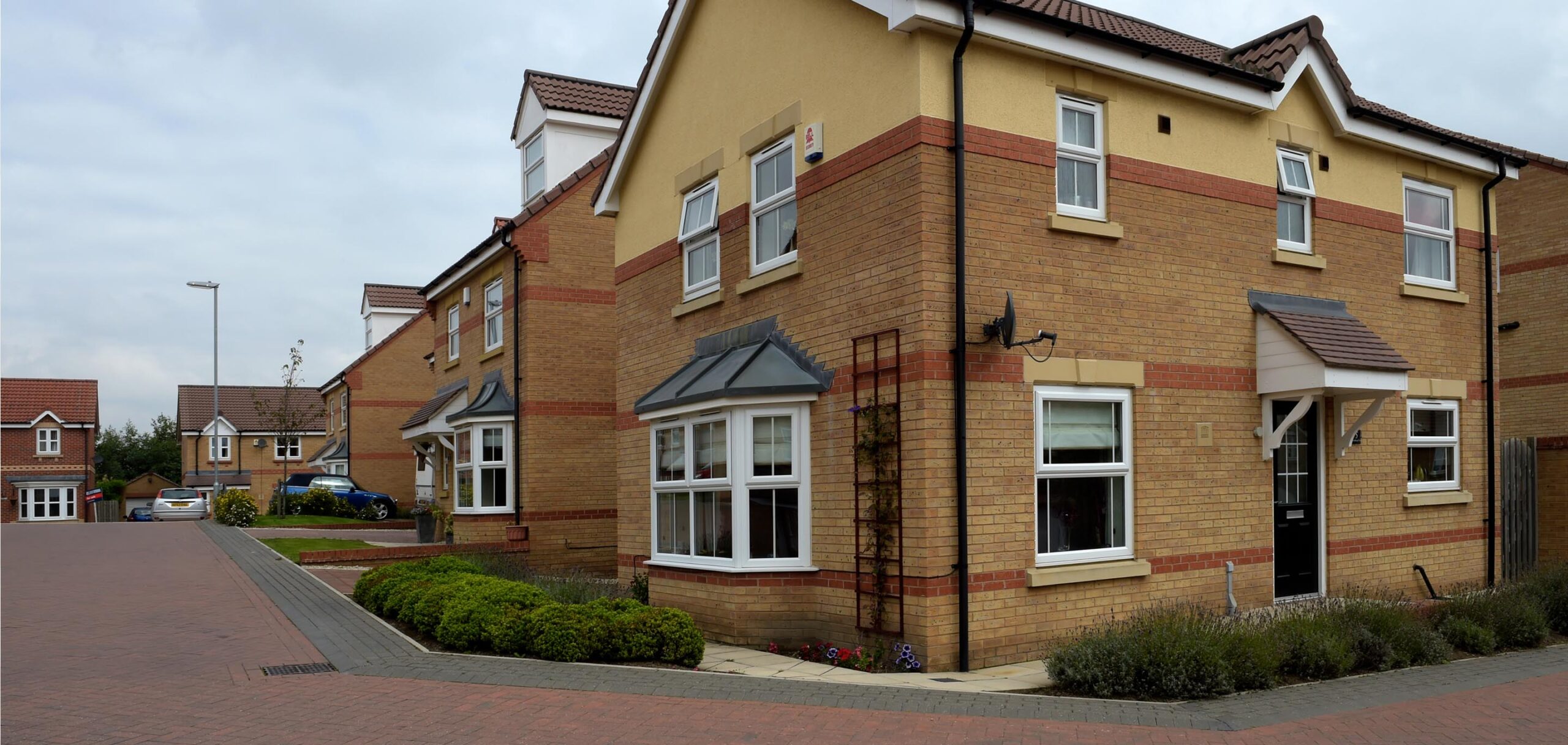 Omega Pencil Edge Brindle, Charcoal