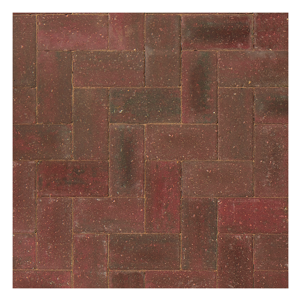 Omega Pencil Edge Brindle