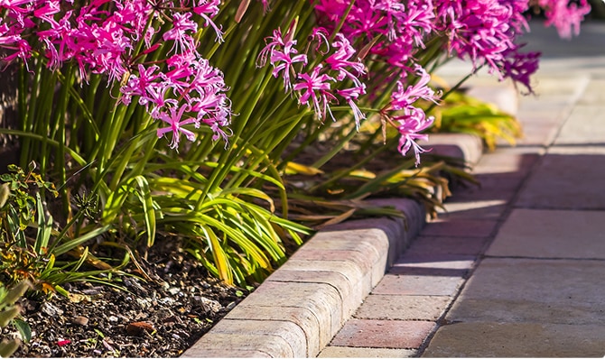 Alpha Kerb Autumn Gold