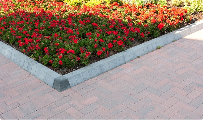 Omega Pencil Edge Brindle, Charcoal review